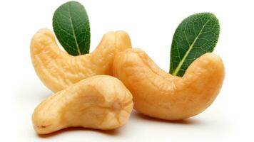 Delicious Cashew Nuts Isolated. Healthy, Organic Snack with Nutty, Concept for Design photo