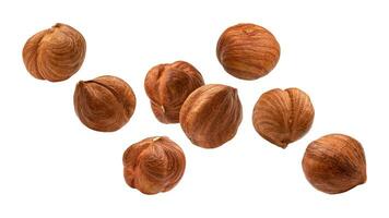 Organic Brown Hazelnuts. Delicious Healthy Nuts, Concept for Design. Gourmet Ingredients for Culinary Creations, Autumn Harvest Snack photo