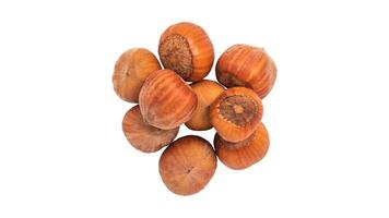 Organic Brown Hazelnuts. Delicious Healthy Nuts, Concept for Design. Gourmet Ingredients for Culinary Creations, Autumn Harvest Snack photo