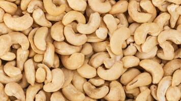 Delicious Cashew Nuts Isolated. Healthy, Organic Snack with Nutty, Concept for Design photo