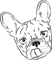 Vector hand-drawn portrait of a French bulldog. Sketch of an illustration with a dog's head highlighted on a white background. Cute little face of a pet with a protruding tongue.Vector illustration