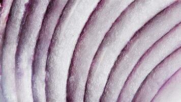 Macro detail from red onion cut section photo