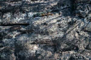 The surface of the mountain stone wall. photo Rock texture. White gray grunge background with sunlight.