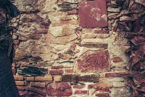 Palm tree trunk of the wall background photo. Cracked bark of tropical palm textured tree. Mediterranean architecture photo