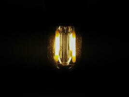 LED filament light bulb photo