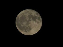 Full moon seen with telescope photo