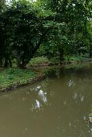 Nature landscape. a morning view of geo city park. photo