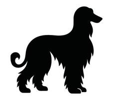 Vector, isolated silhouette of afghan hound. vector