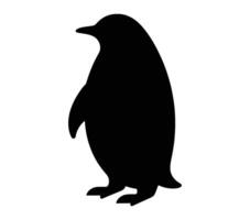 Adelie Penguin. Vector image. White background.