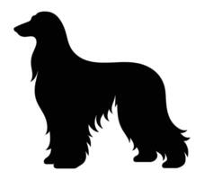 Afghan hound vector. Afghan hound vector icon in flat style.