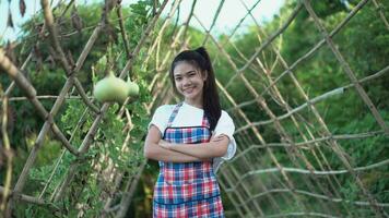 magnifique Jeune asiatique fille pendaison dans sa le légume jardin. video