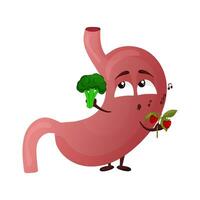 Cartoon cute stomach character. Concept choosing healthy food. Internal organ human. Vector illustration