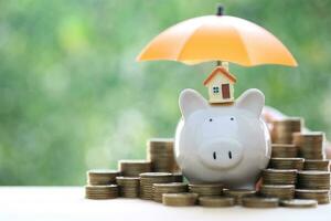 Model house on piggy bank with stack of coins money on nature green background,Business investment and real estate concept photo