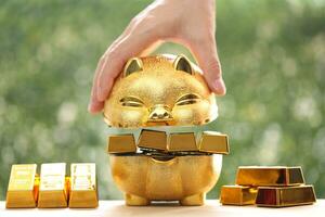 Piggy bank and gold bar on natural green background,Business investment and Saving money for prepare in future concept photo