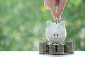 Stack of coins money and piggy bank on natural green background, Business investment and Real estate concept photo