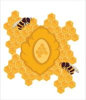 Honeycomb and Honeybee vector illustration