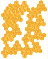 Honeycomb and Honeybee vector illustration