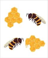 Honeycomb and Honeybee vector illustration