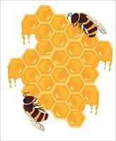 Honeycomb and Honeybee vector illustration