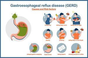 médico vector ilustración en plano estilo.causas y riesgo factores de gerd.embarazo,obesidad,fumar,comer grande comidas, comer tarde a noche, hiato hernia, retrasada gástrico vaciar, beber alcohol.