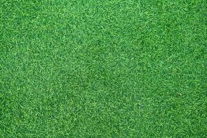 Artificial grass background photo