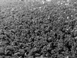 Black and white grass background close view, grayscale grass photo