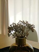 Plant decoration pot interior home photo