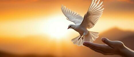 AI generated horizontal banner, International Bird Day, white pigeon in flight, picturesque sunset, place for text photo