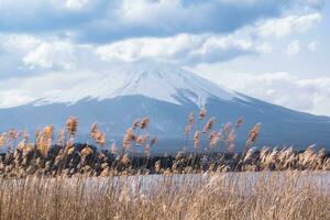 montar fuji,hierba campo con grande nubes cubierta el parte superior de el paisaje.de.montaña ver con agua a kawaguchiko lago, Japón foto