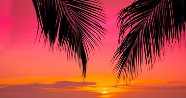 Silhouette of palm tree on the beach during sunset of beautiful a tropical beach on pink sky background photo