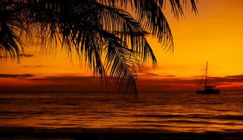 Silhouettes of palm trees and amazing cloudy sky on sunset at tropical beach with sky background for travel and vacation photo