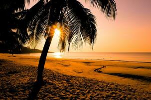 hermosa playa tropical de amanecer con palmeras y cielo para viajes y vacaciones en vacaciones foto