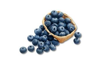 Group of Fresh Blueberries with white background photo