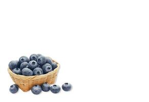 Group of Fresh Blueberries with white background photo