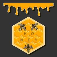 Drop of bee honey drip from hexagonal honeycombs filled with golden nectar vector