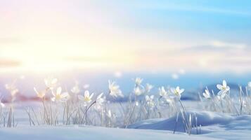 AI generated Spring flowers on a winter background. A symbol of the arrival of spring. photo