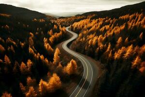 ai generado ondulado la carretera en el otoño bosque, aéreo vista. foto