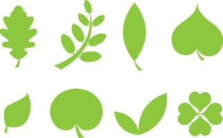 Set of various tree leaves. Collection of vector illustrations