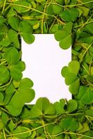 Clover frame mockup for greeting cards in honor of various holidays, such as St. Patrick's Day photo