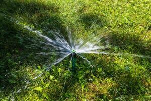 Agricultural theme with lawn watering in urban landscape photo