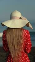 Rear view of unrecognizable female in red dress standing on beach, relaxation on background of ocean video