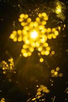 Abstract background with Christmas or New Year festive sparkling light in the form of defocused bokeh photo