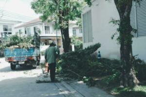 Blur background worker uses a collection truck to pick up of debris from a tree that was cut down. photo