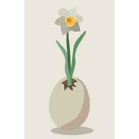 Vector illustration of a narcissus growing in an eggshell.