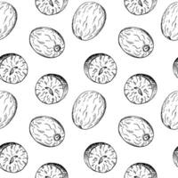 Nutmeg seamless pattern hand drawn vector illustration repeating background with spicy nuts. Backdrop with Mace plant sketch for cooking, medicine, perfumery. For flyer, wrapping, print, paper, card