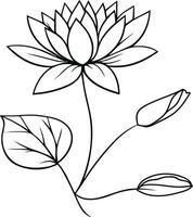 Nymphaea water lily drawings, outline water lily drawing, outline water lily flower drawing, black and white water lily drawing, sketch water lily drawing, hand drawn sketch water lily drawing vector