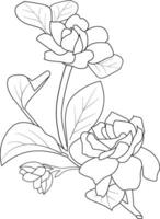 gardenia flor dibujo, gardenia magnolia colorante paginas fácil gardenia flor dibujo, lápiz gardenia flor dibujo, botánico gardenia dibujo, realista gardenia flor dibujo vector