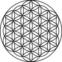 Flower of life vector isolated on white background. Sacred geometry symbol concept.