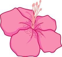 Pink Flower Blossom Hibiscus Illustration vector