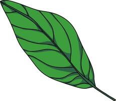 Large Fresh Leaf Green Simple Illustration vector